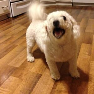 Meet your Posher, Becky